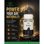 Shilajit - Image 12
