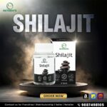 Shilajit - Image 9