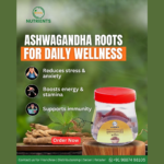 Ashwagandha Roots – Natural Stress Relief - Image 3